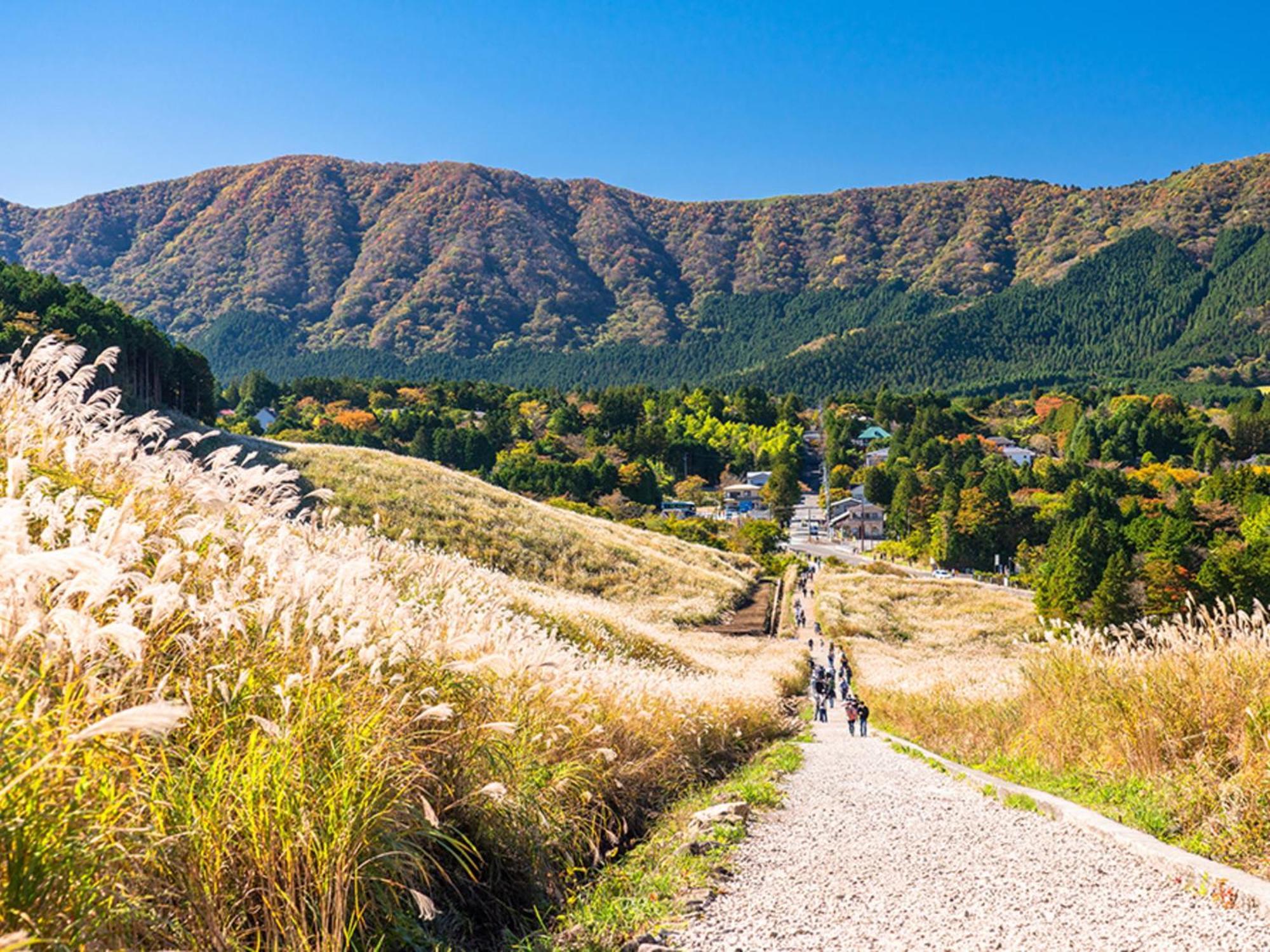 Hotel Shikinoyakata Hakone Ashinoko エクステリア 写真